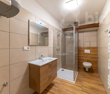 Pronájem bytu 1+1 48 m² - Fotografie 3