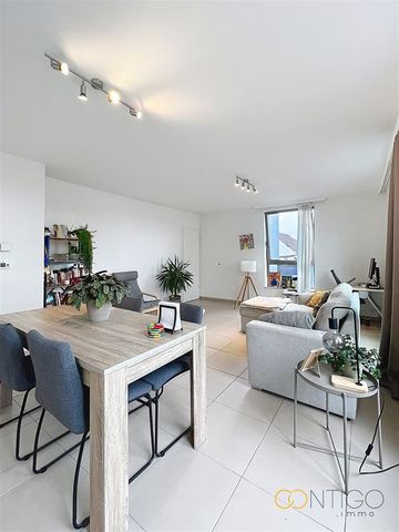 Lumineux penthouse avec terrasse quartier la chasse - Photo 4