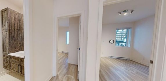 38 Rue Marjorie-D.-Shackleton (Plateau) Magnifique 4 1/2 Tous Compris - Photo 2