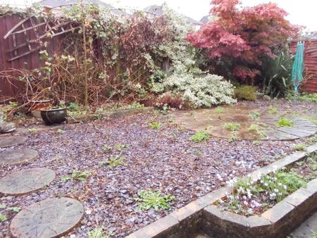2 bedroom detached bungalow to rent - Photo 2