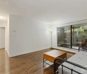 10644 151A St — Modern Ground-Floor 1-Bedroom Suite With Private Pa... - Photo 4
