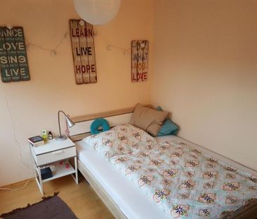 Laudongasse: Modernes Single-Apartment in toller Lage - Photo 4