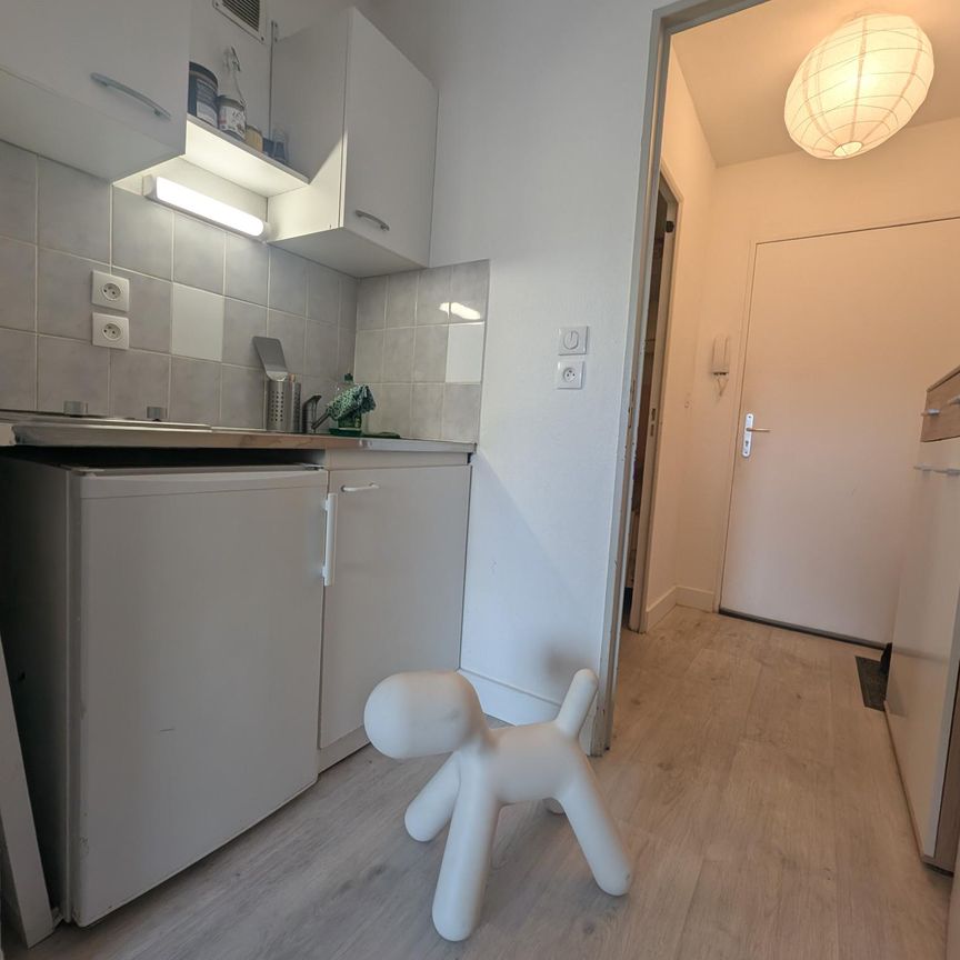 Location Appartement 1 pièce 21m² AUBIERE 63170 - Photo 1