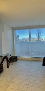 Vancouver Joyce area 1bed1bath A/C Apt - Photo 3