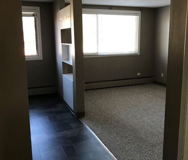 1BDRM/1BATH Apartment - 1017 AVE C N - Close to SASK POLYTECH - Photo 1