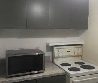 1 BR available now South Granville & W13th - Photo 1