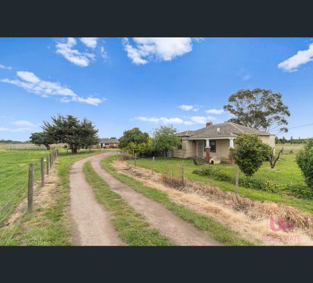 255 McDonalds Drain Road, Koo Wee Rup, Vic 3981 - Photo 5