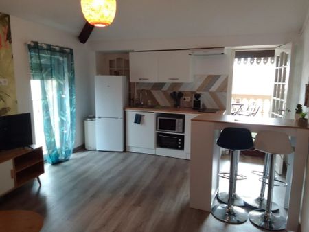 Location Appartement 3 pièces 45 m2 à Perpignan - Photo 3