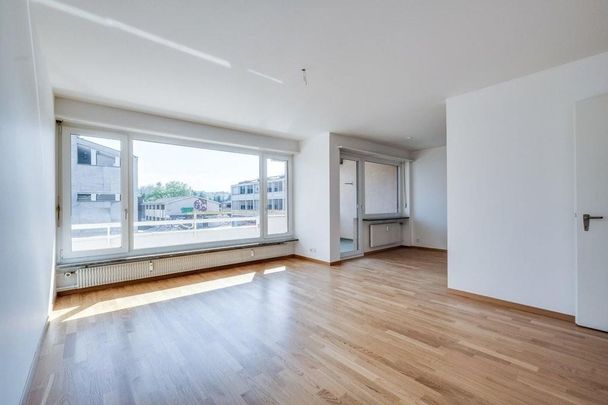 3.5-Room Allschwil Available from 16Feb26 (Early Takeover) - Foto 1