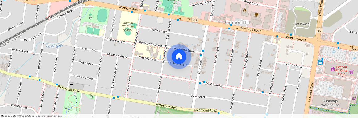 62 Camelia Street, Qld 4170, Cannon Hill