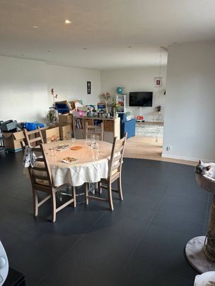 Location appartement 5 pièces 166.04 m² à Saint-Genis-Pouilly (01630) - Photo 1