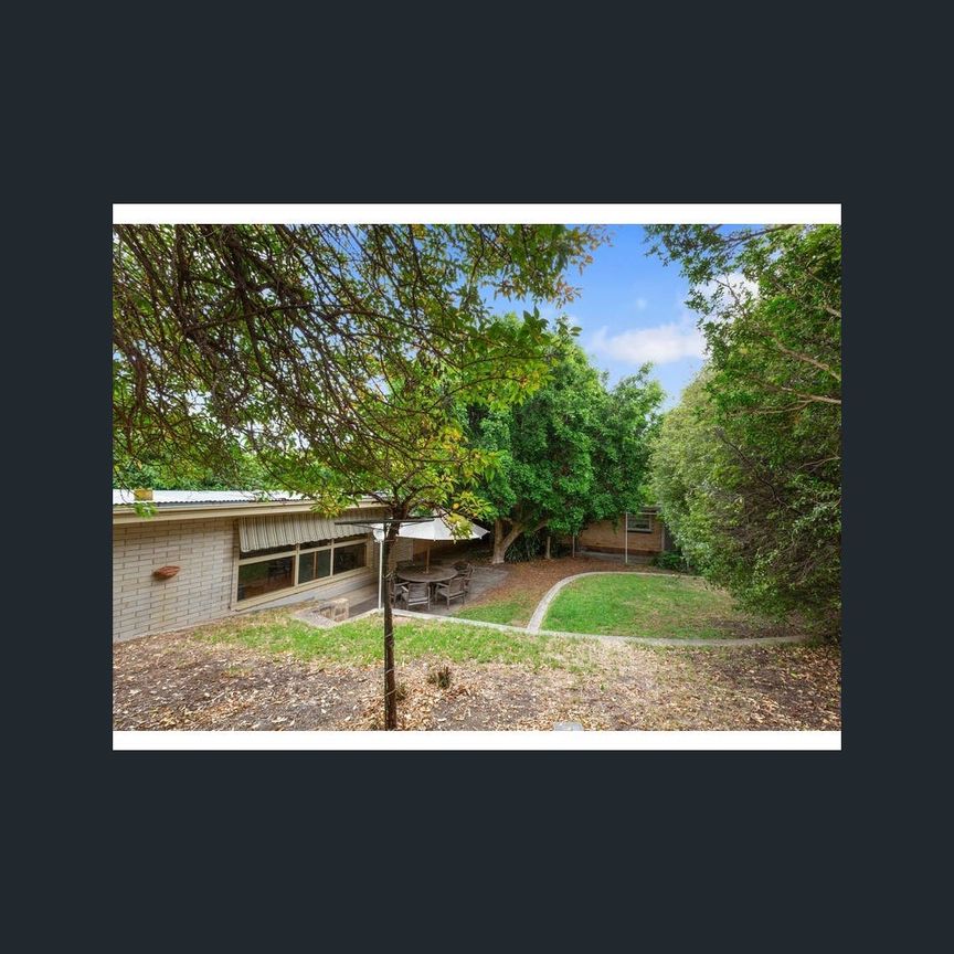 24 elese ave, Campbelltown, SA 5074 - Photo 1