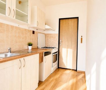 Pronájem bytu 1+1 47 m² - Fotografie 6