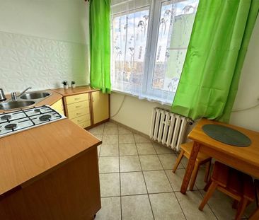 Łódź M., Łódź, Górna, Kurczaki, Codzienna - Фото 6