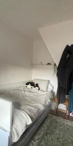 Chambre meublée J.H.W. Robersstraat, Enschede - À louer - Photo 3