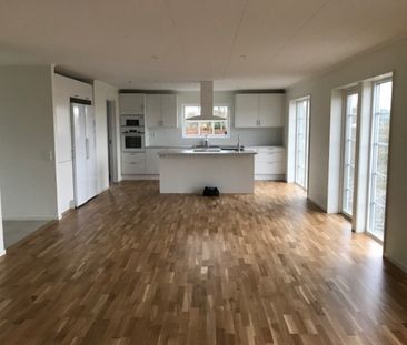 Arild - 3rok - tillsv - 10.810kr/mån - Foto 5