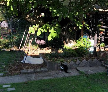 Garden Oasis + Warm 3BR Home - Photo 3