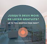 La Mosaïque - Photo 3