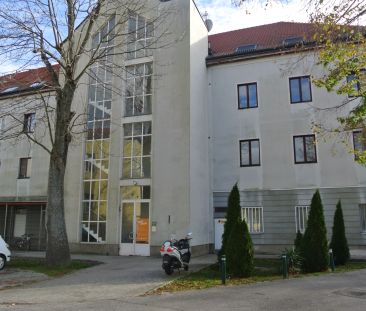 Sonnige, helle 2 Zimmer Wohnung- Nähe Zentrum und dem Bahnhof- nur ... - Photo 5