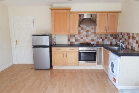 Apt 6 99, 101 Eglantine Avenue, Belfast, BT9 6RW - Photo 4