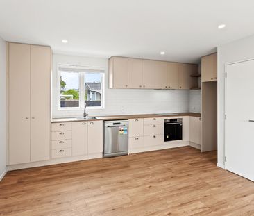 45 Plunket Street, Spreydon - Photo 5