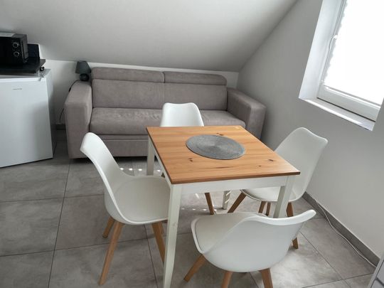Pronájem bytu • 28 m² bez realitkySlupečná, Lipno nad Vltavou - Lipno nad Vltavou, Jihočeský kraj - Photo 1
