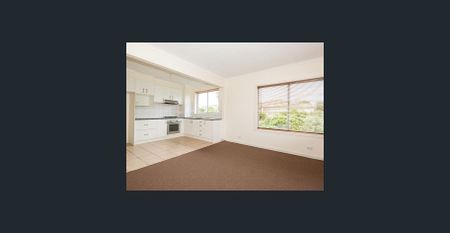 SUNNY FILLED FIRST FLOOR APARTMENT TWO BLOCKS FROM BEACH - Photo 4