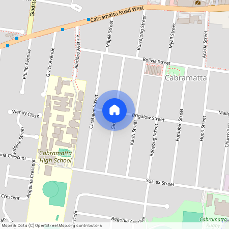 B Gidgee Street, NSW 2166, Cabramatta