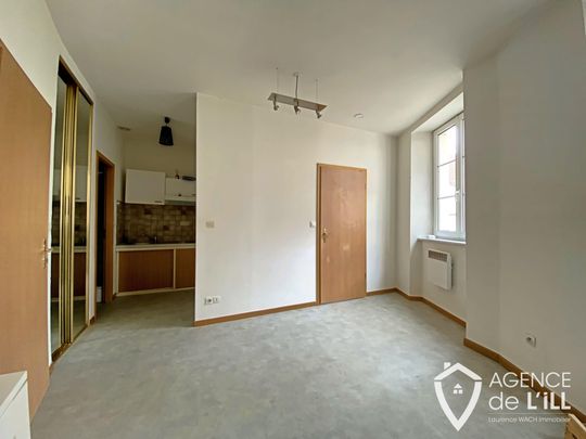 Location Appartement 2 pièces 30m² SELESTAT 67600 - Photo 1