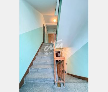 Szczecin - Фото 4