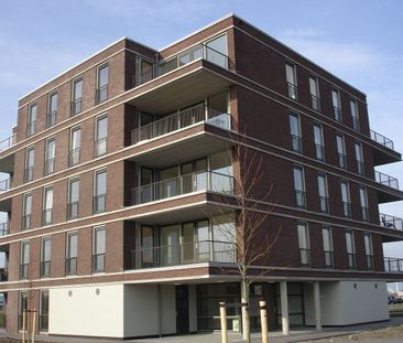 Appartement te huur: Egmondland 130 2635 MW Den Hoorn (ZH) - Photo 3