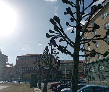 Kapellgatan, Göteborg - Photo 4