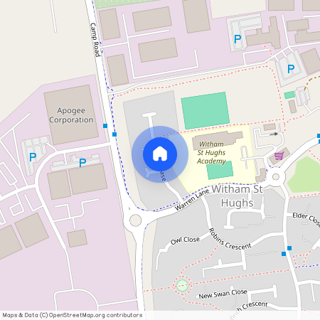 Squirrel Chase, Witham St Hughs, LN6