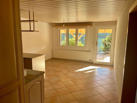 Modern 6.5-room apartment in Rohrbachgraben - Foto 4