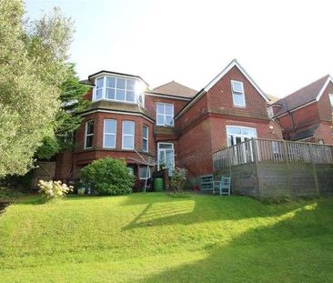 Carew Road, Eastbourne, East Sussex, BN21 - Photo 5