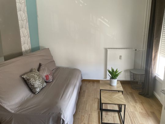 T1 MEUBLE + PARKING - Photo 1