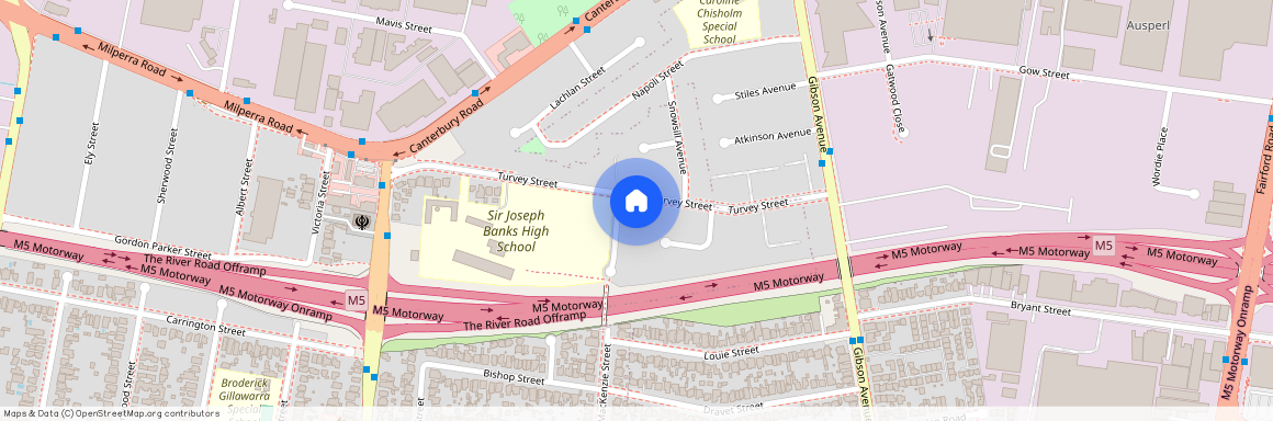 33a Turvey Street, NSW 2212, Revesby