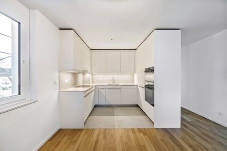 bright and modern apartment in the castle of Binningen - Photo 5