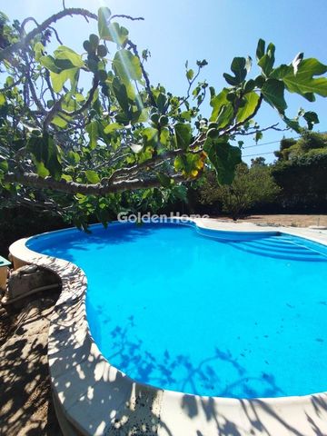 Μονοκατοικία 280 τ.μ. προς ενοικίαση - Photo 3