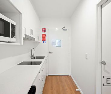 81 Boundary Street, Parramatta NSW 2150 - Studio For Rent | Domain - Photo 2