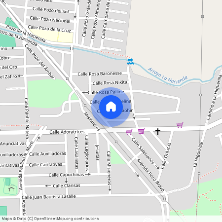 Rosa Saphir, El Rosedal, Aguascalientes, Casa, Aguascalientes