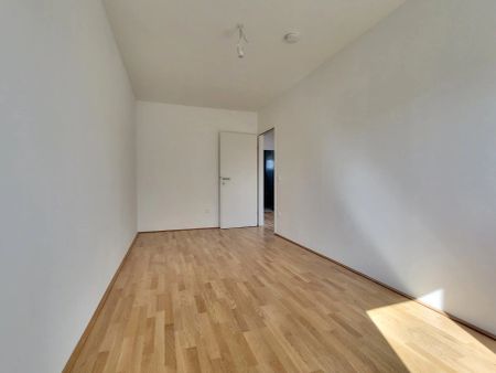 Erstbezug! Geförderte Doppelhaushälfte mit Terrasse und Garten, Top 15A - Foto 5