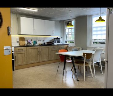 Room in a Shared House, Medway Street, SW1P - Photo 4