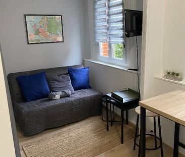 Location Appartement 1 pièce 17m² - Photo 5