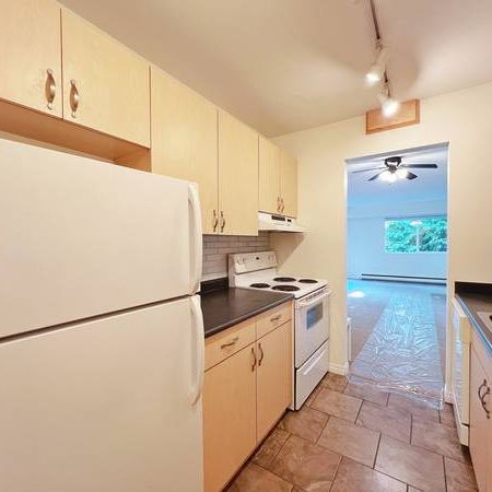 Renovated 2 Bedroom 1.5 Bathroom at Joyce-Collingwood Vancouver - Photo 3