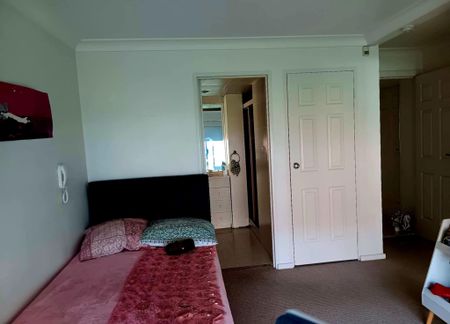 Wollongong CBD - Photo 4