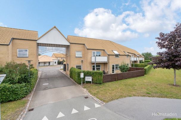 Bjerggårds Allé 21 A, 1., 5240 Odense NØ - Photo 1