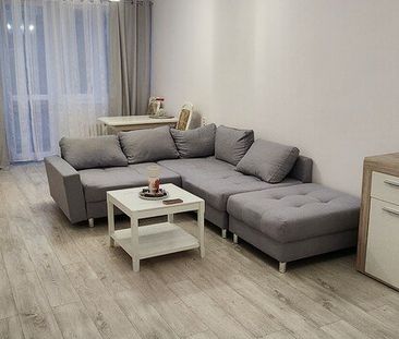 Kawalerka plus! Na wynajem, Stare Miasto - Zdjęcie 1