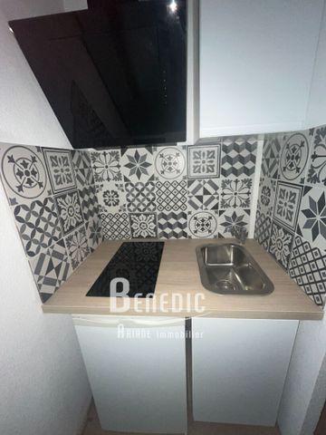 Location Appartement 1 pièce 18m² - Photo 4
