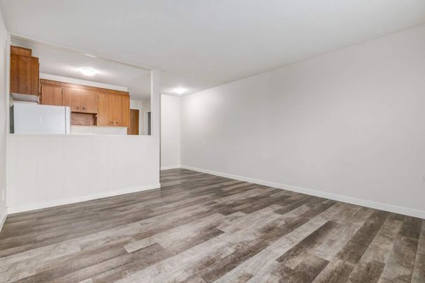 Renovated Suite - 1 Bedroom - Photo 1